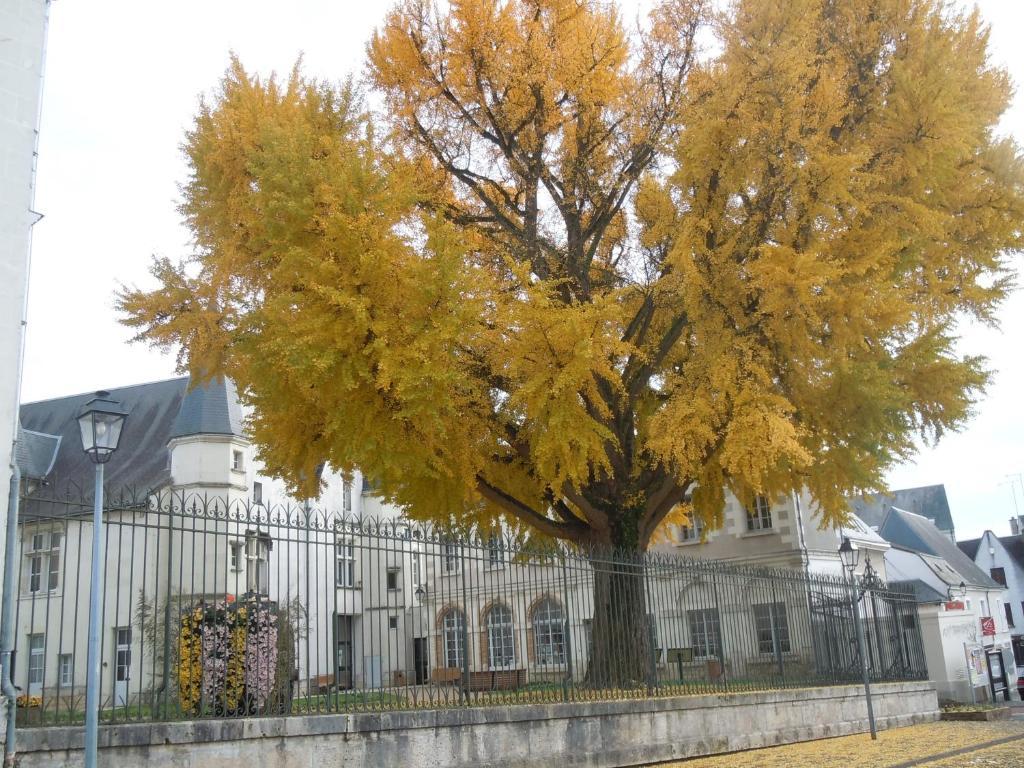 Отель La Croix Blanche Монришар Экстерьер фото